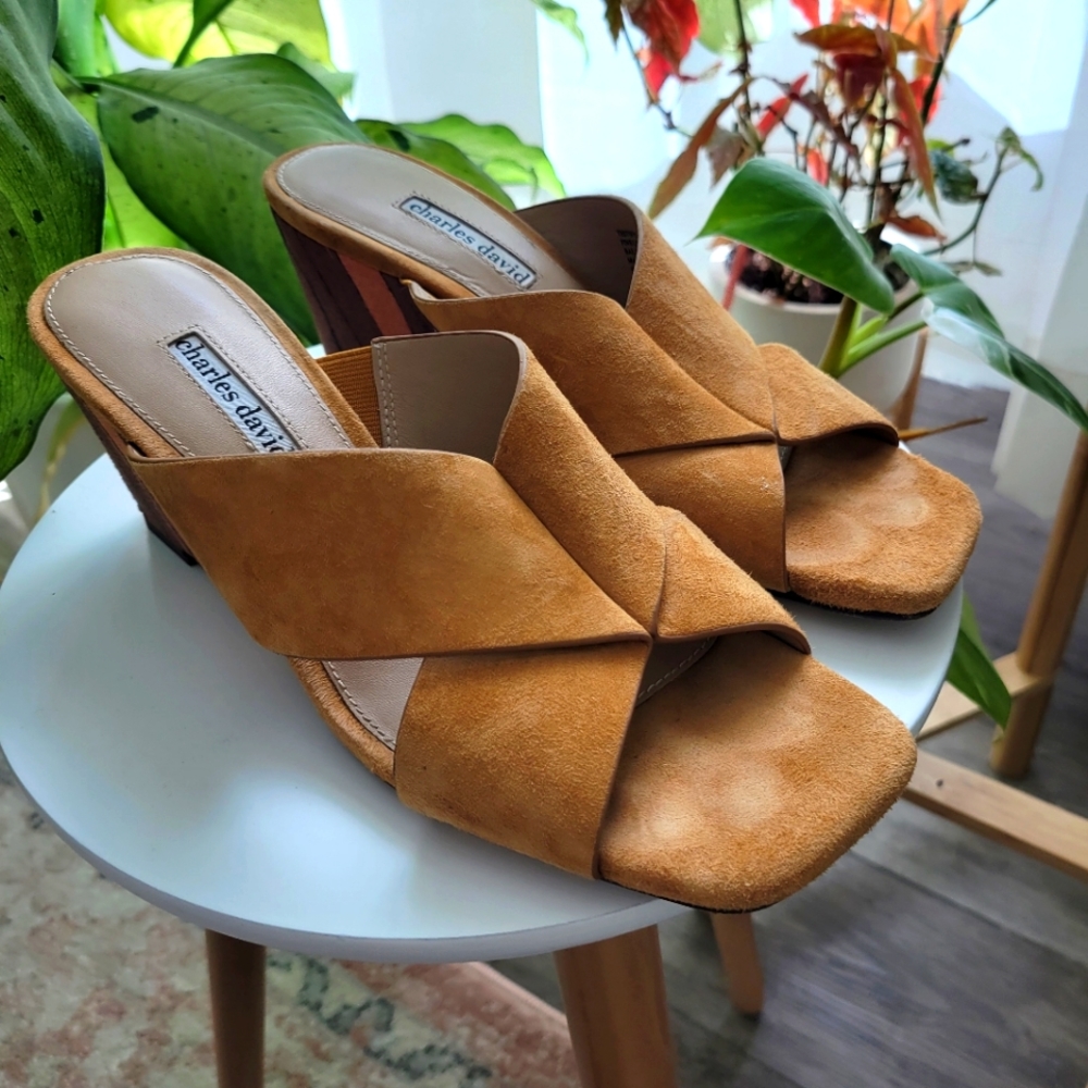 Wedge sandal
